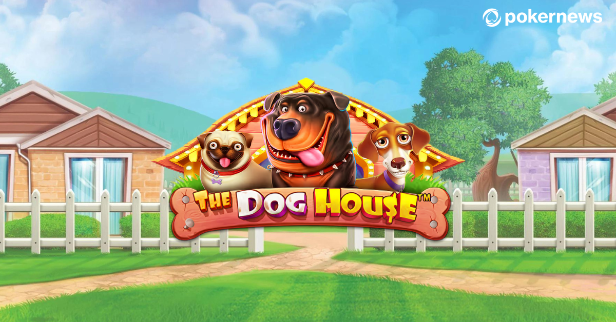 Слот The Dog House от Pragmatic Play в Vavada Casino